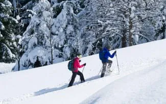 SNOW-SHOE-WALKING SNOW-SHOE-WALKING
